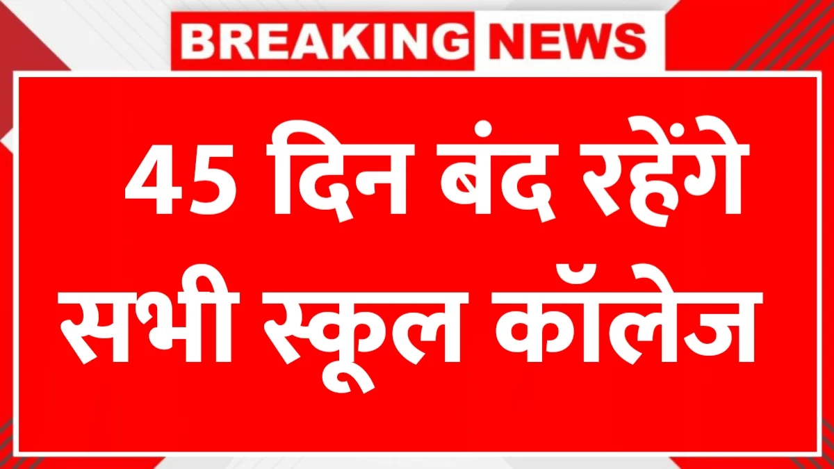 School Summer Vacation